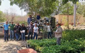 Área verde del plantel